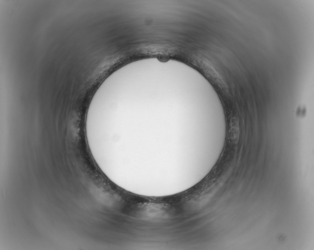 X0000090740255200708101709