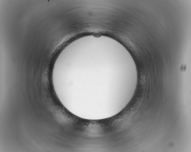 X0000090740256200708101709