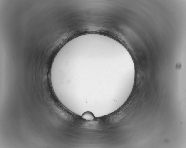 X0000090740257200708101709