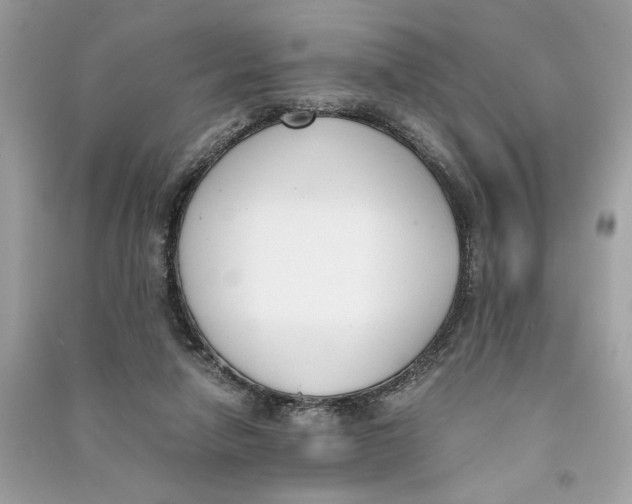 X0000090740258200708101709