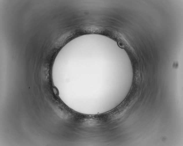 X0000090740259200708101709