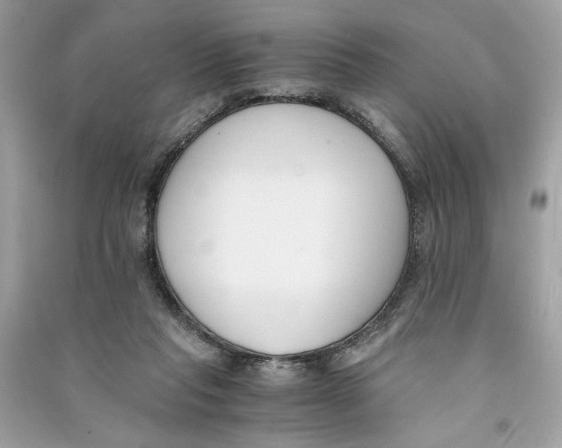 X0000090740261200708101709