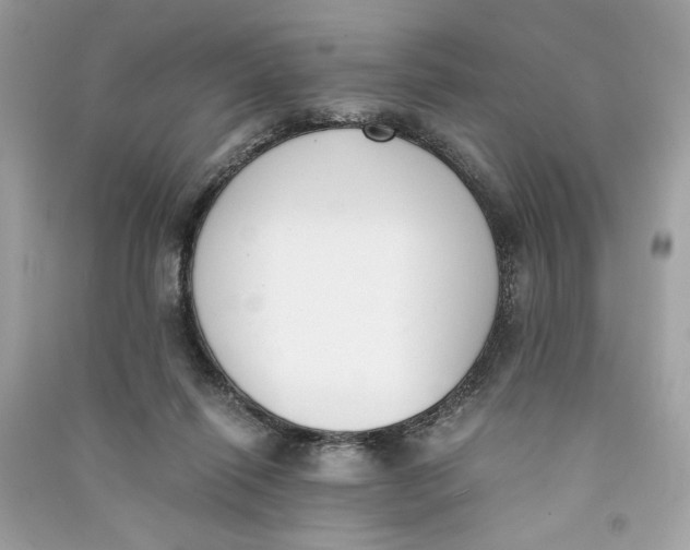 X0000090740262200708101709