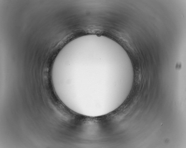 X0000090740263200708101709