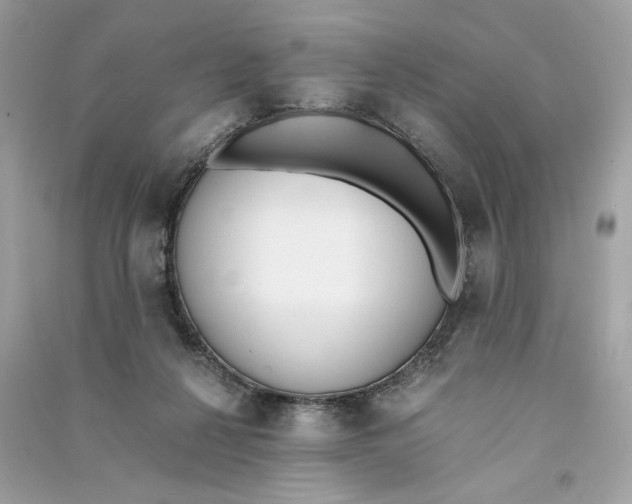 X0000090740264200708101709