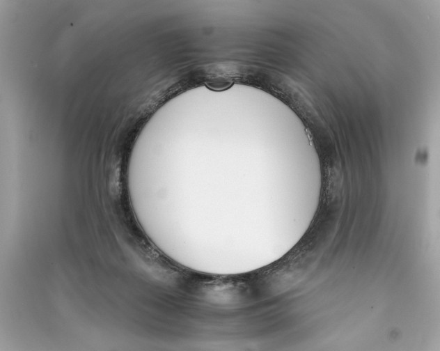 X0000090740267200708101709