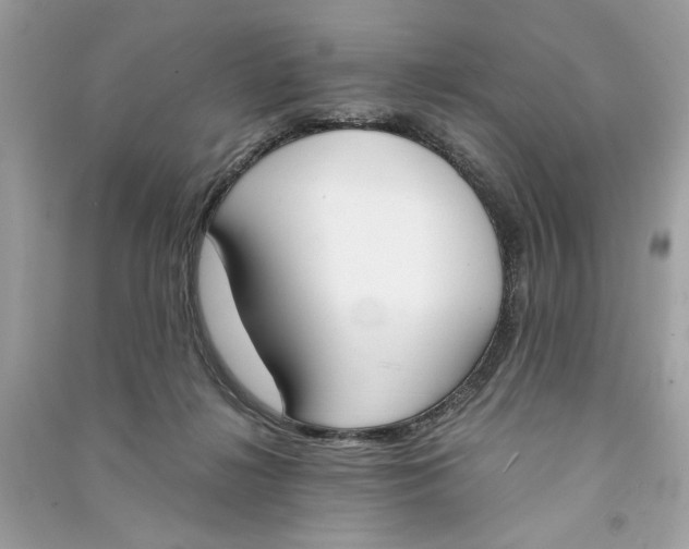 X0000090740268200708101709