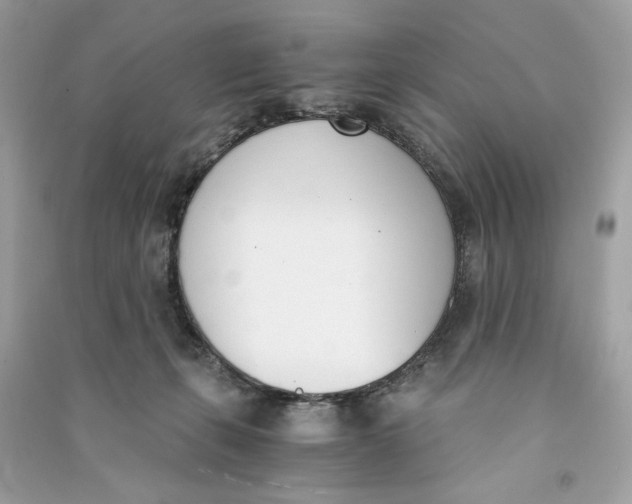 X0000090740271200708101709