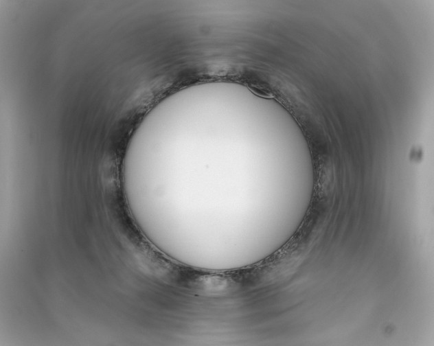 X0000090740272200708101709