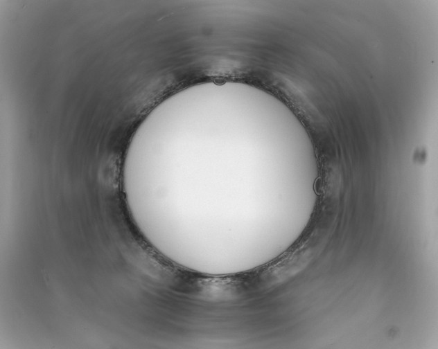 X0000090740273200708101709