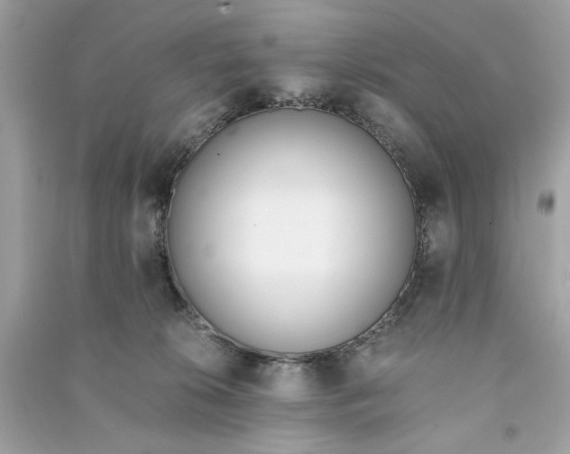 X0000090740276200708101709