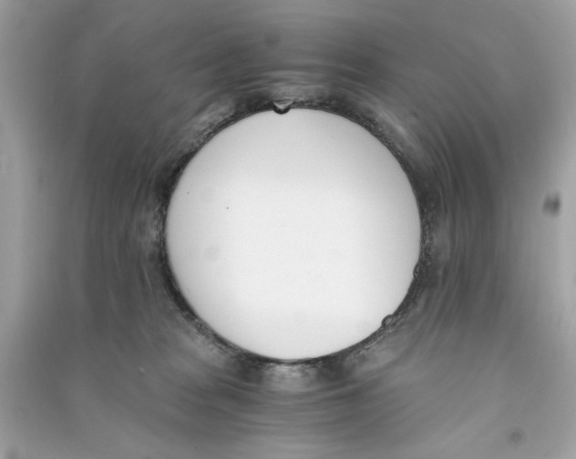 X0000090740277200708101709