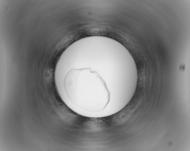 X0000090740278200708101709