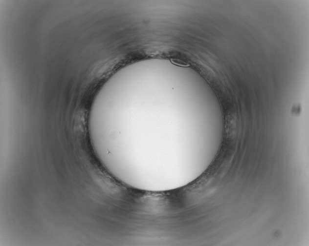 X0000090740280200708101709