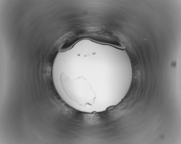 X0000090740281200708101709