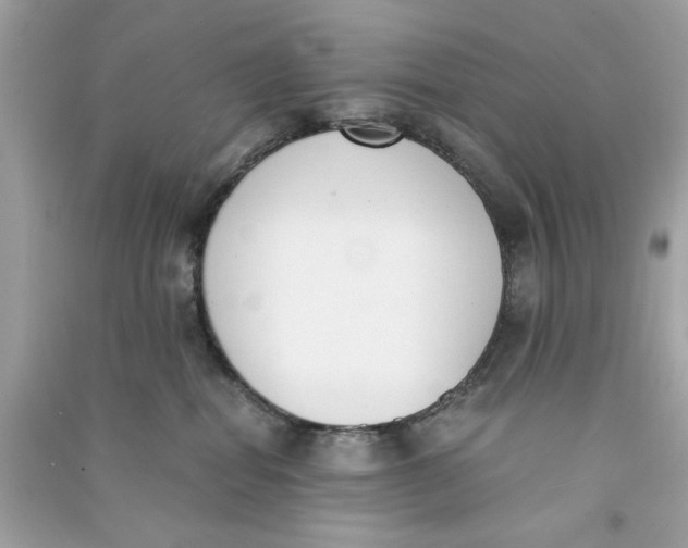 X0000090740282200708101709