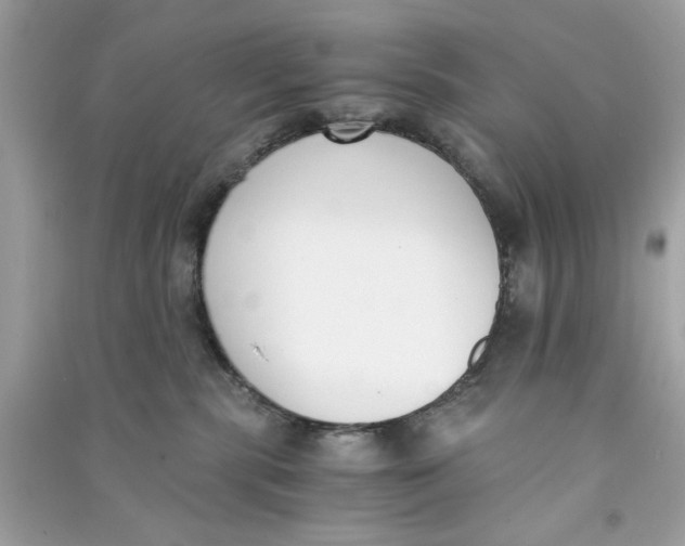 X0000090740283200708101709