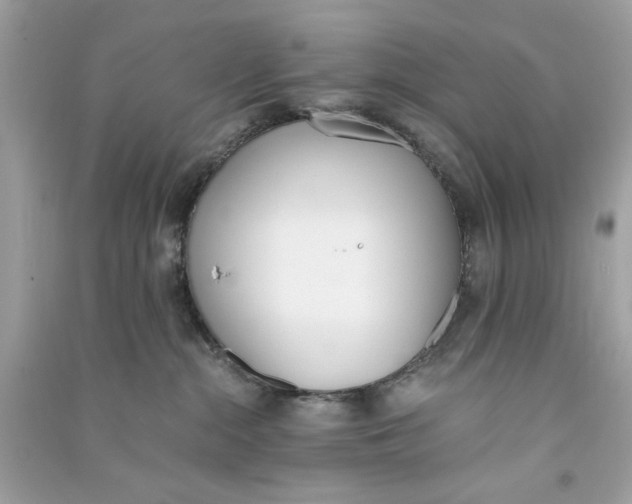 X0000090740284200708101709