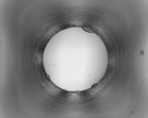 X0000090740285200708101709