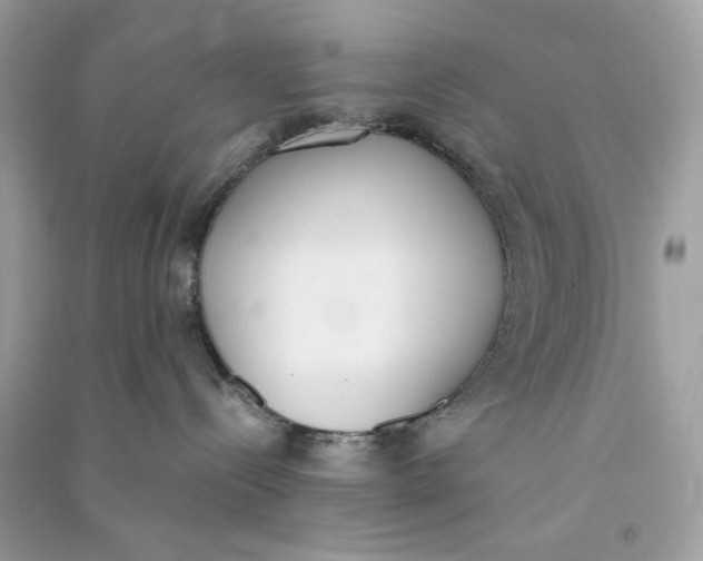 X0000090740288200708101709