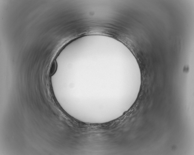 X0000090740289200708101709