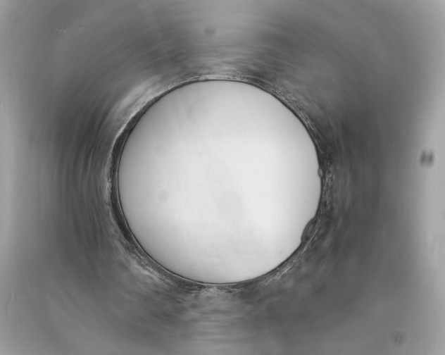 X0000090740290200708101709