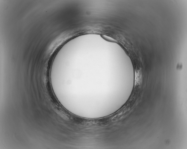 X0000090740291200708101708