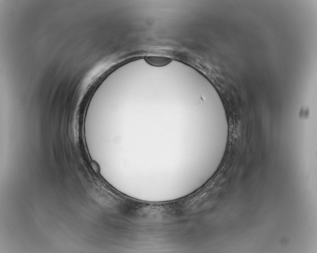 X0000090740294200708101708