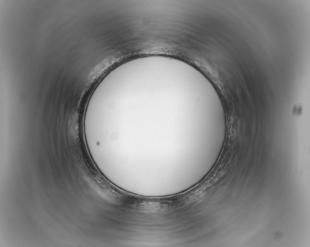 X0000090740298200708101708