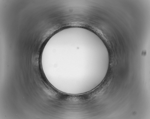 X0000090740299200708101708