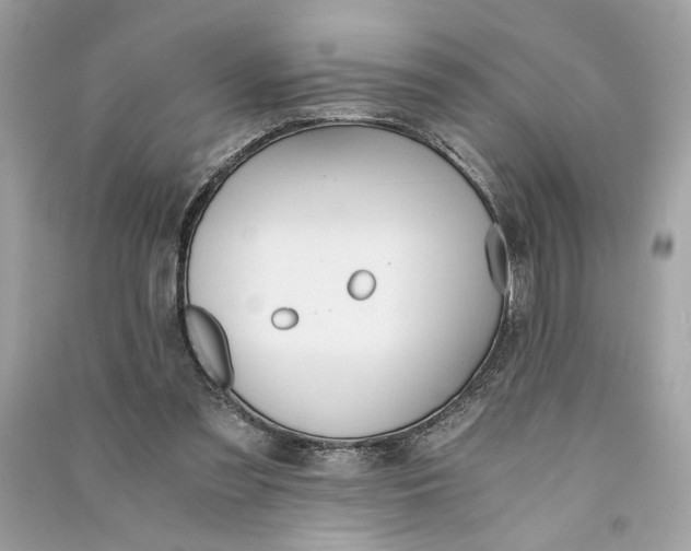 X0000090740301200708101708