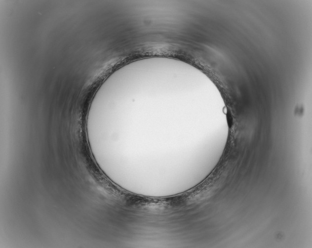 X0000090740306200708101708