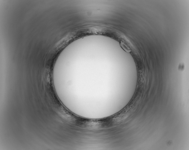 X0000090740313200708101708