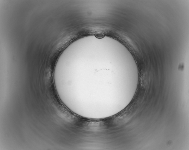 X0000090740314200708101708