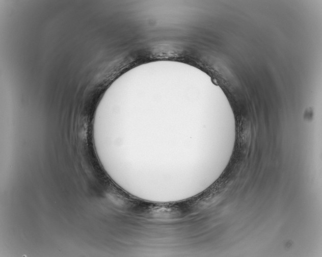 X0000090740315200708101708