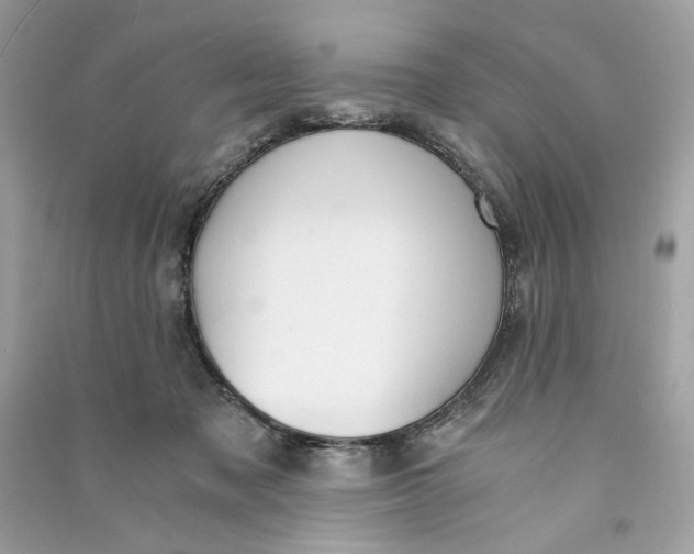 X0000090740317200708101708