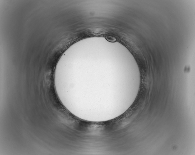 X0000090740319200708101708