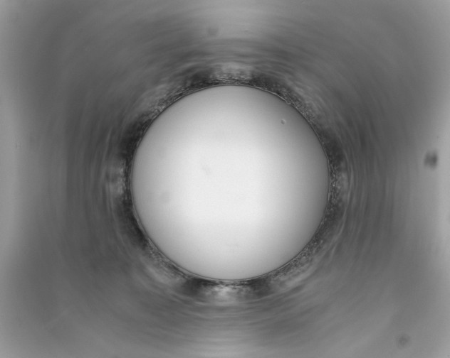 X0000090740323200708101708