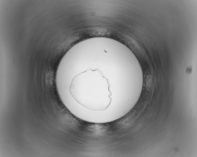 X0000090740326200708101708