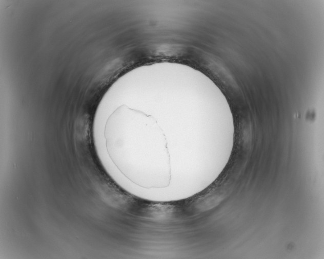 X0000090740328200708101708