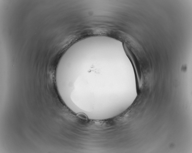 X0000090740329200708101708