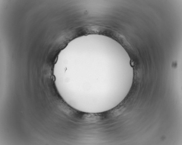 X0000090740331200708101708