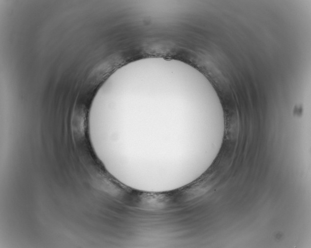 X0000090740334200708101708