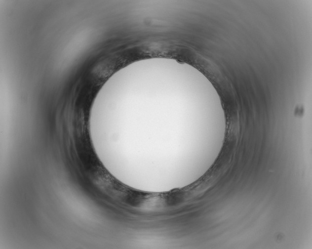 X0000090740335200708101708