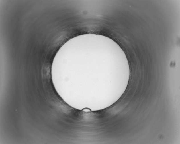 X0000090740336200708101708