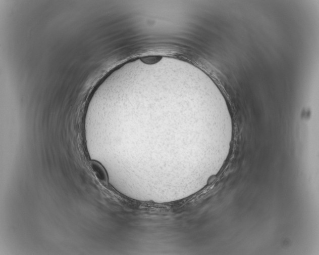 X0000090740337200708101707