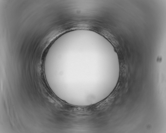 X0000090740338200708101707