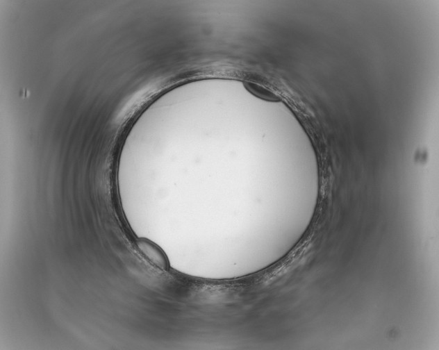 X0000090740341200708101707