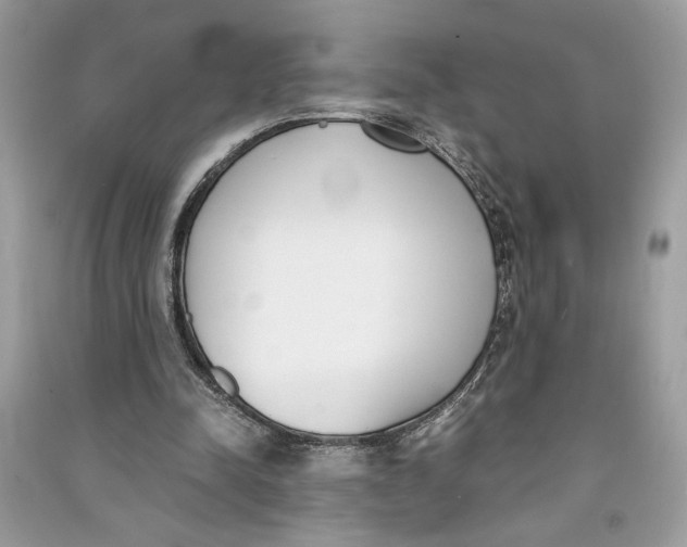 X0000090740342200708101707