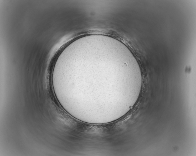 X0000090740343200708101707